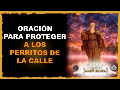 Oración para PROTEGER a LOS PERRITOS de la CALLE | Oración Espiritual