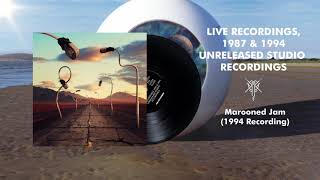 Pink Floyd - Marooned Jam (1994 Recording)