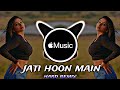 Jaati Hoon Main Jaldi Hai Kya Jaati Hoon Main Jaldi Hai Kya Dj