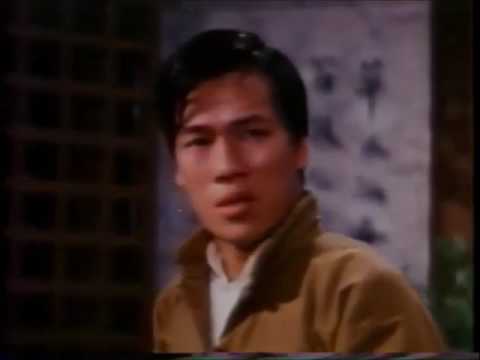 Wang Yu, King of Boxers (1973) Part 3/6 - English Version