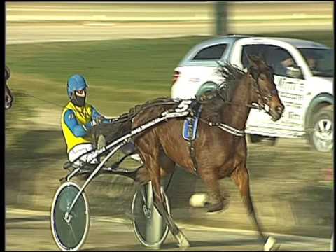 Trotto 16/12/2016 - 5ª corsa