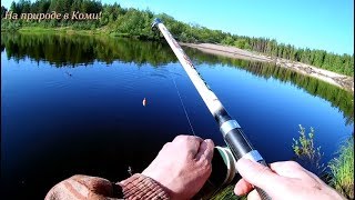 Фото рыбалки в коми