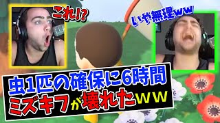 #4【あつ森】日本で人気になった外国人ニキMizkifが虫1匹の確保に6時間かかってぶっ壊れたｗｗ【日本語字幕付き/ あつまれどうぶつの森】