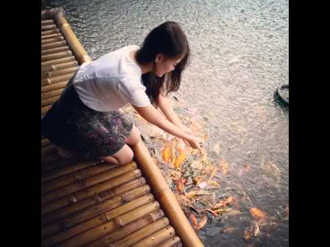 Rex or Regina - Vague Ideas