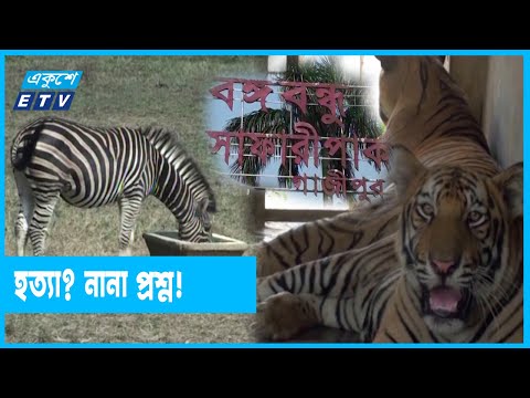 সাফারি পার্কে মারা গেল ১১টি জেব্রা ও ১টি বাঘ