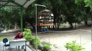 6ª ETAPA DO CAMPEONATO ESTADUAL 2013 - RJ