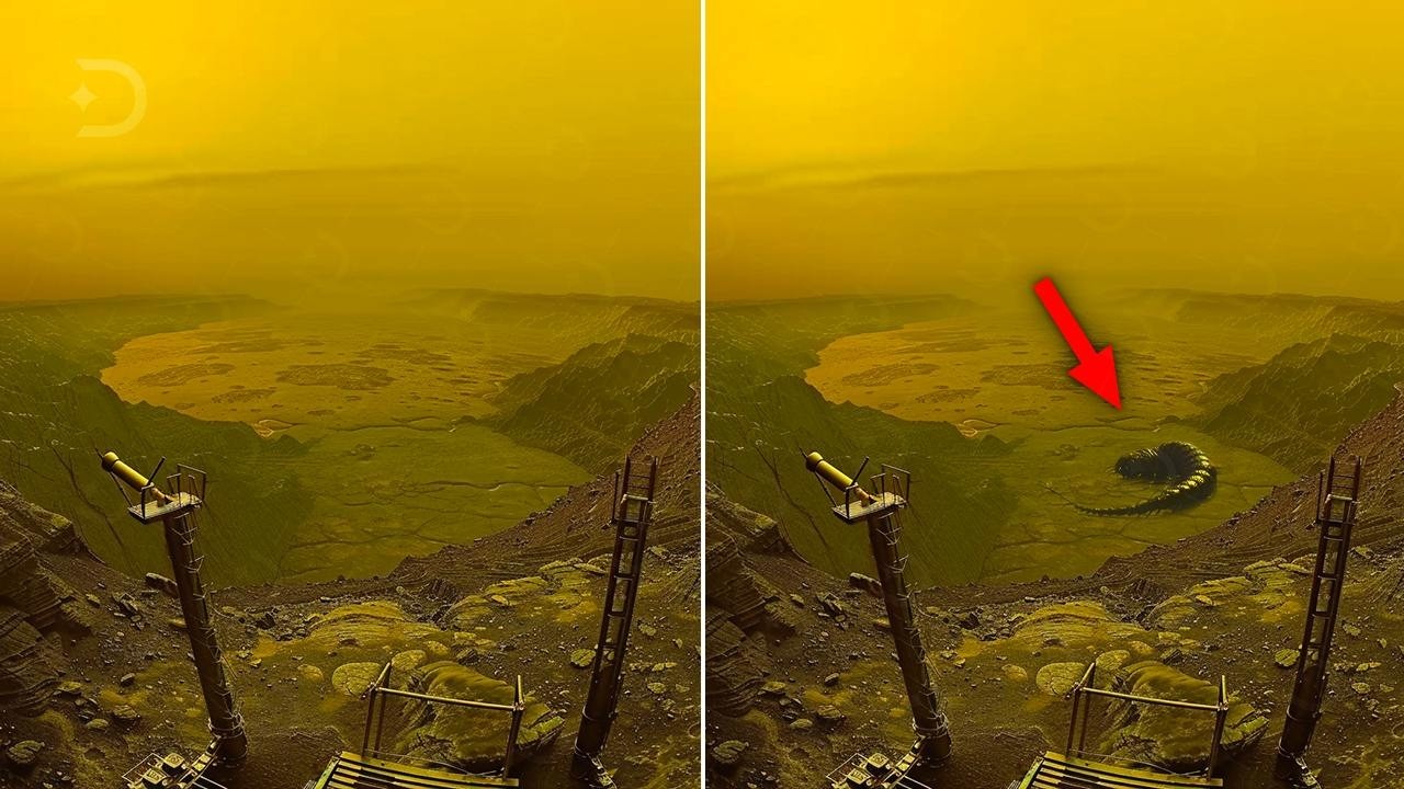 What the Soviet Union Really Found on Venus: Life or a Mistake?