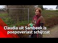 Claudia start actie tegen hondenpoep