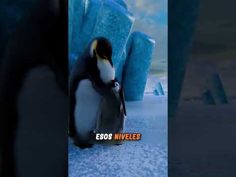 Esta mamá pingüino se negaba a soltar a su hijo