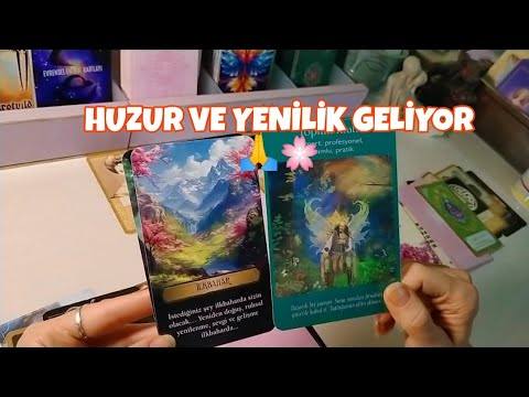 WHAT IS THE SITUATION IN THIRD PERSON STORIES ❣️ WHAT CAN HAPPEN ❣️🔮🤔 #tarot #tarotreading #katin...