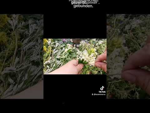 Sonnenwend Buschen binden