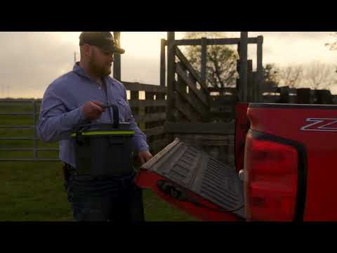 Pelican 8QT Personal Lunchbox Cooler