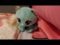 Bianca Blings Watches The Columbia TriStar Home Entertainment Logo Groundhog Day Special