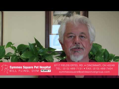Symmes Square Pet Hospital (formerly Cord Animal Clinic)