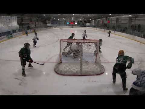 20230312pm Shaha 10u vs Mustangs