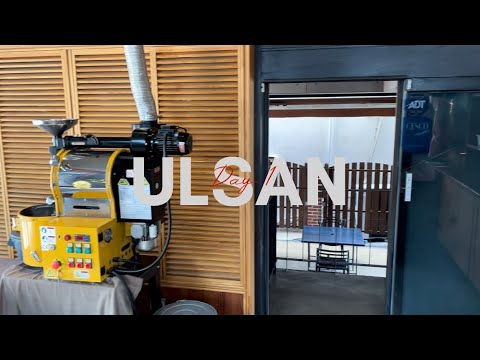 Dia 1 de Ulsan e Vlog da viagem de um dia a Gyeongju