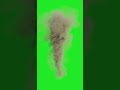 GFM 4K HD Royalty Free Download Tornado Green Screen Animation Video Footage FX Videos