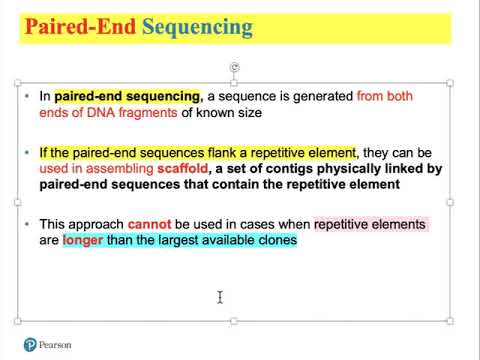 Genetics Ch16 Genomes