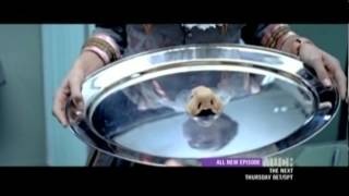 Miike Snow - Paddling Out (Video On Trial)