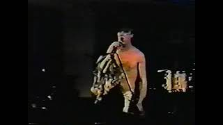 The Cramps - What&#39;s Inside a Girl (Live 1986)