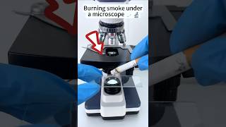 Download lagu Ada apa itu didalam rokok!😱 #shorts #rokok #microscope mp3 Download lagu Ada apa itu didalam rokok!😱 #shorts #rokok #microscope mp3