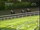 Seattle Slew - 1978 Woodward Stakes (Upgrade)