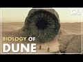 The Biology of Dune | Speculative Biology