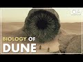 The Biology Of Dune Speculative Biology