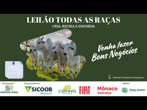 LEILÃO TODAS AS RAÇAS - MINEIROS-GO | 01/12/2025