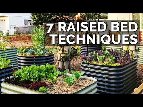 9 Beginner Raised Bed Garden Mistakes to Avoid