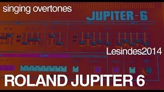 Roland Jupiter 6 -- Overtone Singing