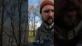 Searching for 100&#39;s of WAXWINGS