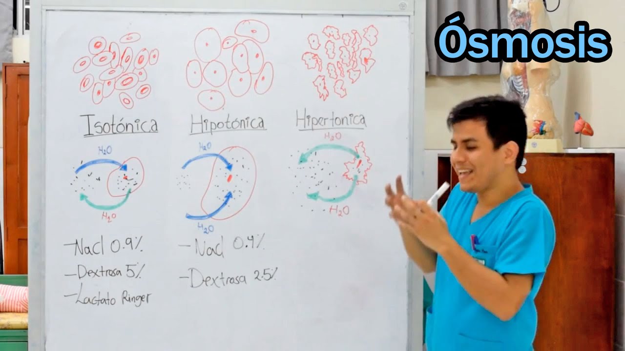 Ósmosis en Enfermería (Solución Iso, Hipo e Hipertónica) - Fácil