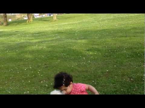 baby kiara playing with dog