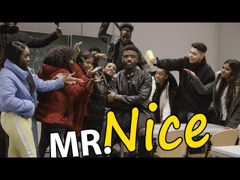 Mr Nice - ICH ALS LEHRER | Ah Nice