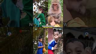 Download lagu funny video of monkeys laughing #shorts mp3 Download lagu funny video of monkeys laughing #shorts mp3
