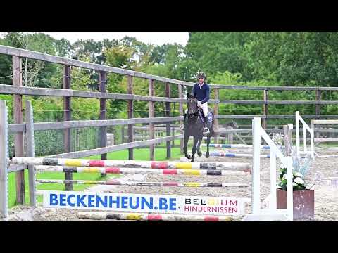 Champigny d’Elsendam Z video 2
