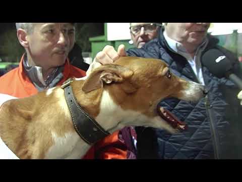 2019 LPS NATIONAL SPRINT FINAL - T5 TROY BELLA