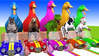 5 Giant Duck, Monkey, Piglet, chicken, lion, cow, cat, dog, Sheep, Transfiguration funny animal 2024