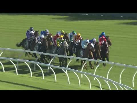 2024 TJ Smith Stakes