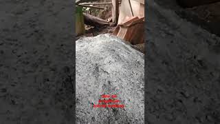 Download lagu hasil pengolahan kotoran kambing. di campur dolomid mpk pupuk mp3