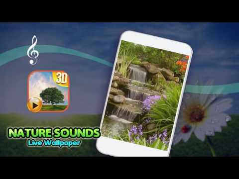 Nature Sounds Live Wallpaper Video