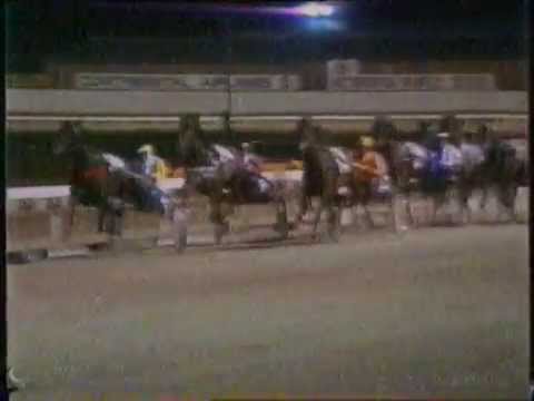 1983 Interdominions - Trotters' 1st Heat, Alexandra Park, Auckland:  McShane