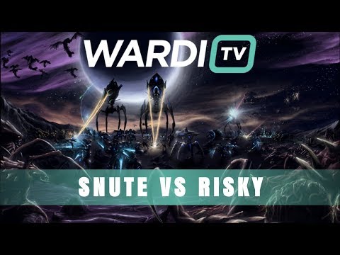 Snute vs RiSky (ZvZ) - WardiTV EU Summer Qualifiers