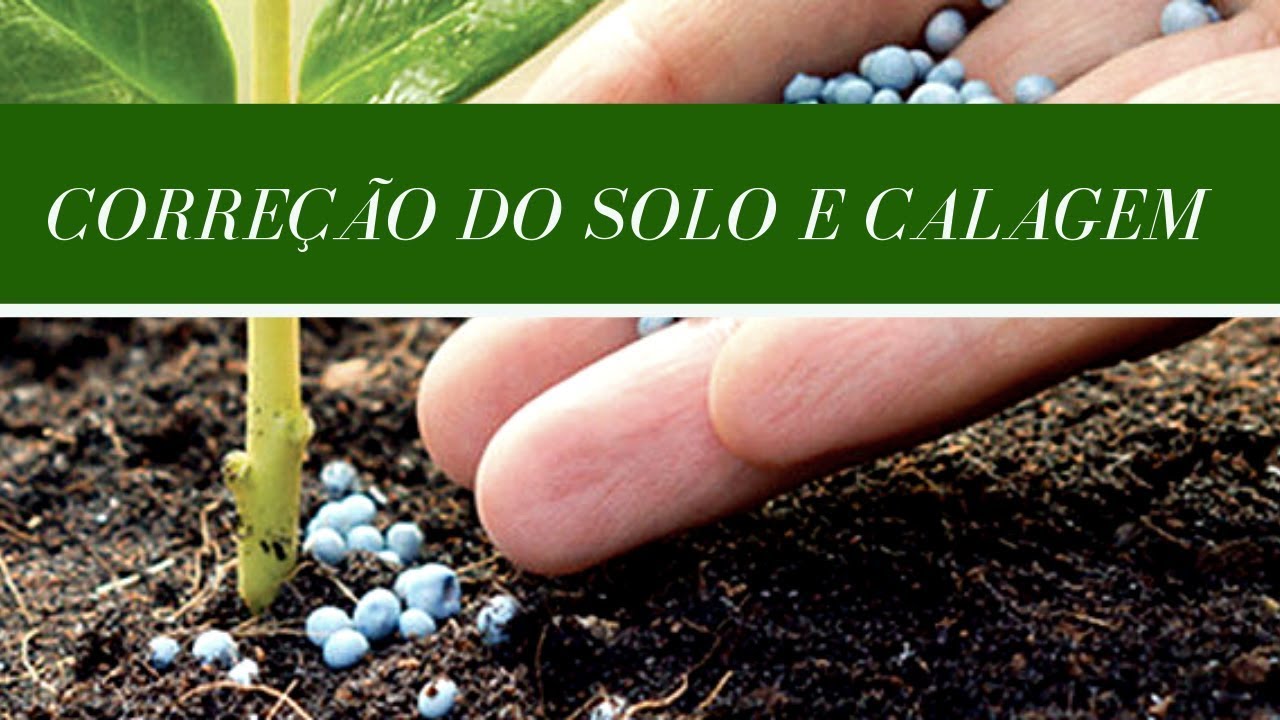 Semana da fertilidade do solo | Aula 1: correção do solo e calagem
