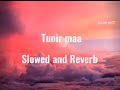 O Tunir Maa |(Slowed+Reverb) |Bengali song 2017