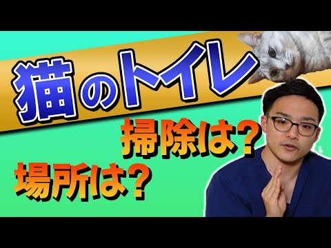 猫にとって最適なトイレとは何でしょうか?