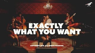 The Scarlet Ending - Exactly What You Want (Official Video) 2010