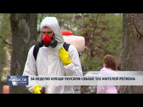 10.07.2019 / За неделю клещи укусили свыше 120 жителей региона