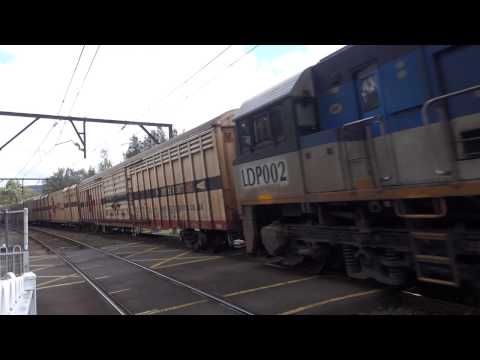 LDP002 / CF4402 / LDP001 with Aurizon 5BM7 at Koolewong level crossing - 6/1/17
